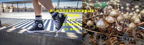 эйфоретик Абаза